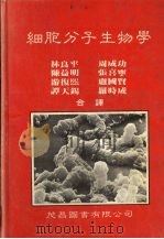 细胞分子生物学 1984.03 PDF电子版封面 林良平,周成功,陈益明等著