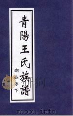 青阳王氏族谱  潮公派  下（ PDF版）