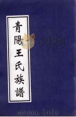 青阳王氏族谱 PDF电子版封面