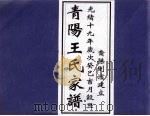 青阳王氏家谱 PDF电子版封面