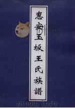 惠安玉坂王氏族谱 PDF电子版封面