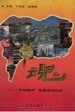 市魂 “沈阳精神”征集活动纪实 1991 PDF电子版封面 7805566925 丁世发,赵金城主编