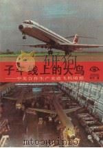 子午线上的大鸟 中美合作生产麦道飞机随想 1991 PDF电子版封面 7539902485 胡平著