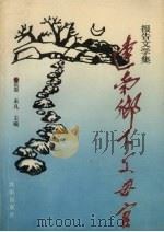 辽南乡下父母官  报告文学集（1991 PDF版）
