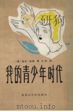 我的青少年时代（1983 PDF版）