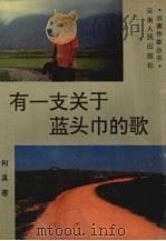 有一支关于蓝头巾的歌 1993 PDF电子版封面 7222015041 何真著