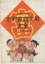 农村家庭实用大全（1993 PDF版）