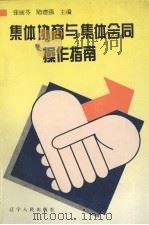 集体协商与集体合同操作指南 1996 PDF电子版封面 7205037239 张丽芬,陆建强主编