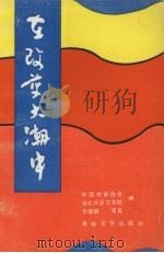 在改革大潮中（1990 PDF版）