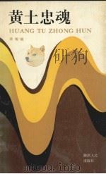 黄土忠魂 1991 PDF电子版封面 7224020990 梁相斌著