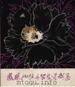 凤凰山牡丹写生资料集（1979 PDF版）