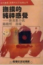 抚摸的纯粹感觉  新表象小说（1994 PDF版）
