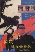 凶犯就在你身边  特案要案纪实（1993 PDF版）