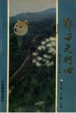 鄂西先行曲 1989 PDF电子版封面 7800412741 彭开宙,王雄主编