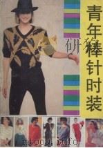 青年棒针时装 1990 PDF电子版封面 7211010924 陈凯敏,雷化金,苏慧琳等著