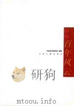 中华百年风云（1999 PDF版）