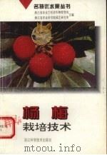 杨梅栽培技术 1996 PDF电子版封面 7534109353 张跃建,宗四弟编著