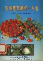 新特蔬菜栽培一月通（1994 PDF版）