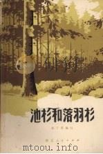 池杉和落羽杉（1979 PDF版）