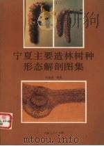 宁夏主要造林树种形态解剖图集 1989 PDF电子版封面 722700256X 冯显逵编著
