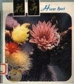 花卉  草本花卉（1981 PDF版）
