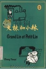 大林和小林 1983 PDF电子版封面 ZhangTianyi著