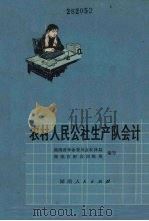 农村人民公社生产队会计 1973 PDF电子版封面 4109·147 湖南省革命委员会农林局,湖南省财会训练班编写