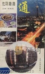 沈阳路路通 1993 PDF电子版封面 7561020627 徐境良主编