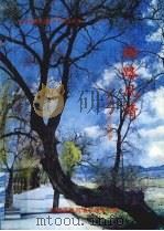 御路风情：抚顺旅游景点故事（1999 PDF版）