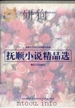抚顺小说精品选（1999 PDF版）