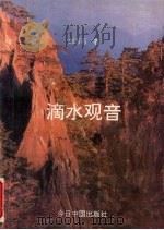 滴水观音 1993 PDF电子版封面 7507204995 刘万石著