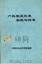 产权制度改革实践与探索 1998 PDF电子版封面 抚顺市社会科学院编著;任正华,王聿哲主编