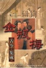 《金瓶梅》探谜集成 1999 PDF电子版封面 756341178X 朱一玄等主编