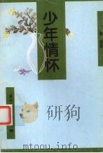 少年的情怀（1995 PDF版）
