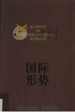 国际形势年鉴 1999 1999 PDF电子版封面 7532065197 上海国际问题研究所编
