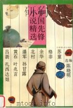 中国先锋小说精选 1993 PDF电子版封面 7542306715 陈晓明选编