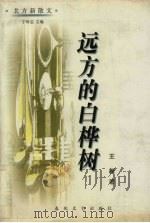 远方的白桦树 1998 PDF电子版封面 7531319586 王新著