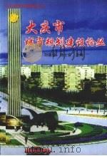 大庆市城市规划建设论丛 1999 PDF电子版封面 7806270299 刘德莹,汤士安主编