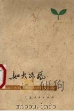 如火如风 诗集 1977 PDF电子版封面 10111·1078 黄子平等著