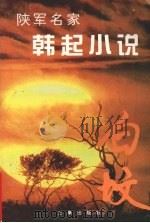 白坟 1995 PDF电子版封面 7805468885 韩起著