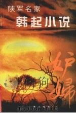 妒妇 1995 PDF电子版封面 7805468885 韩起著