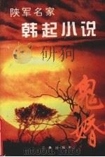 鬼婚   1995  PDF电子版封面  7805468885  韩起著 