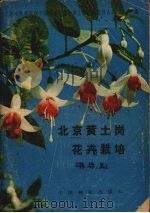 北京黄土岗花卉栽培  修订本（1981 PDF版）