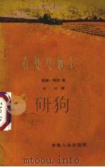 在处女地上 一个大学生的札记 1960 PDF电子版封面 10097·211 (苏)玛斯著;沙沄译