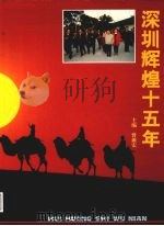 深圳辉煌十五年（1995 PDF版）