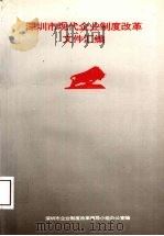 深圳市现代企业制度改革文件汇编 1994 PDF电子版封面 深圳市企业制度改革领导小组办公室编