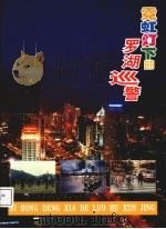霓虹灯下的罗湖巡警（ PDF版）