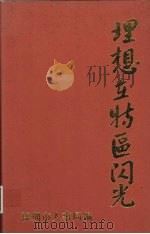 理想在特区闪光（1994 PDF版）