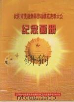 沈阳市先进集体劳动模范表彰大会纪念画册 1999 PDF电子版封面 齐进主编