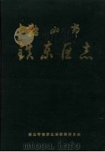 鞍山市铁东区志（1991 PDF版）